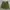Streetwear Y2K Short Pria green photo 2