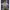 Uniqlo Y2K Casual Casual shirt Pria green photo 5