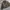 Casual jacket floral pattern by Orsay photo 5