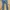 Celana jeans guess photo 2