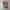 Luxury Short Pria multicolor photo 5