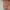 Luxury Short Pria multicolor photo 6