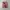 Luxury Short Pria multicolor photo 2