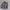Streetwear Indie Windbreaker Pria multicolor photo 1