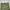 cargo pants multipocked photo 8