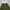 cargo pants olive green photo 6