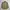 Kansai Yamamoto Casual Formal shirt Pria cream photo 2