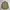 Kansai Yamamoto Casual Formal Shirt Pria Cream