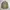 Kansai Yamamoto Casual Formal shirt Pria cream photo 1
