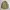 Kansai Yamamoto Casual Formal shirt Pria cream photo 5