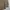 Kansai Yamamoto Casual Formal shirt Pria cream photo 4