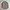 Casual Formal shirt Pria tan brown photo 1