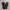 Puma Biker Sportswear Tracksuit Pria black photo 2