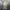 Engineered Garments Maxi Dress photo 1