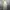 Engineered Garments Maxi Dress photo 8