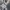 A Bathing Ape Streetwear Luxury Polo shirt Pria gray photo 7