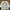 Minimalist Casual Shirt Wanita white photo 1