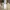 Authentic Max Mara Flowers Blouse Tops  photo 6