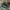 Converse CT High Leather Hiker PC Quilted Boot photo 2