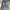 STITCH BLUE WASHED JEANS photo 4