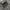 Niko and japan padded warm puffer jacket photo 5