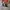 Vans Old Skool Comfycush Black White photo 1