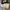 Converse Allstar Platform Hi White photo 2