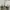 Converse Allstar Platform Hi White photo 8
