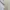 #Tan #Brown Nao Vest Very Good photo 3