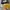 Converse Allstar Hi Dark Citron photo 2