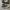 Converse Allstar Low Black White photo 3