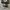 Converse Allstar Low Black White photo 2