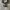 Converse Allstar Low Black White photo 1