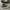 Converse Allstar Low Black White photo 3