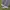 Grey jeans photo 4