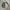 Primitive skateboard coach jacket hooded photo 4