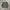 Primitive skateboard coach jacket hooded photo 2