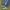 Blue fadding jeans photo 6
