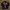 tracktop guess photo 1