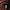 tracktop guess photo 3