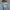Celana Panjang Denim High Waist Tapered Levis Preloved photo 5