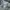 Acne Studios Streetwear Minimalist Sweatshirt Pria gray photo 5