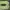 DC SHOES BLACK / GREEN LIME SIZE 42 ORIGINAL !! photo 3