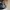 Vans sk8 low photo 5