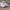 Nike Cortez  photo 1