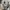 DJI Mavic 2 Pro