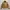 J01 BRN - Faded Carhartt Detroit Jacket 