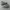 Converse x Missoni Zig Zag High Top  photo 4