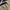 Arcteryx Gamma Superlight photo 4