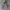 2000's Heavyweight Hoodie Gray Boxy photo 1
